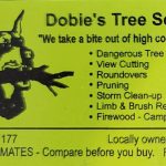 🌳 Dobie’s Tree Service Etowah NC