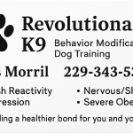 🐾 Revolutionary K9 – Behavior Modification Dog Training Etowah NC