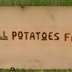 🥕 Small Potatoes Farm Etowah NC