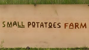 🥕 Small Potatoes Farm Etowah NC