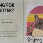 So Yappy To Be Home – Trusted Pet Sitting & House Sitter Etowah NC