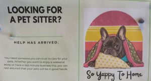 So Yappy To Be Home – Trusted Pet Sitting & House Sitter Etowah NC