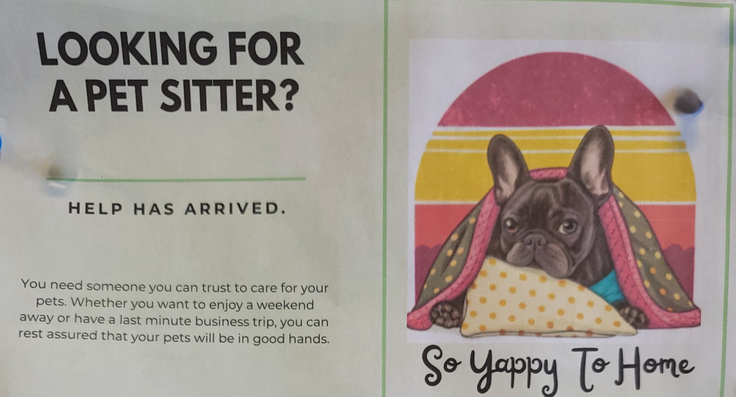 pet sitter horse shoe nc